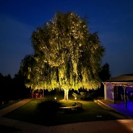 Апартаменти Battonya House Екстер'єр фото